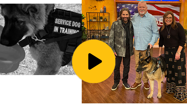 Paws Healing Heroes on the Rachael Ray Show